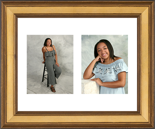 16x20 Gold Panel Frame | Panel_Frame_5.jpg